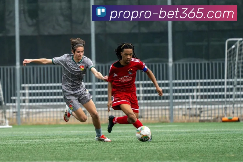 bet365平台生态图